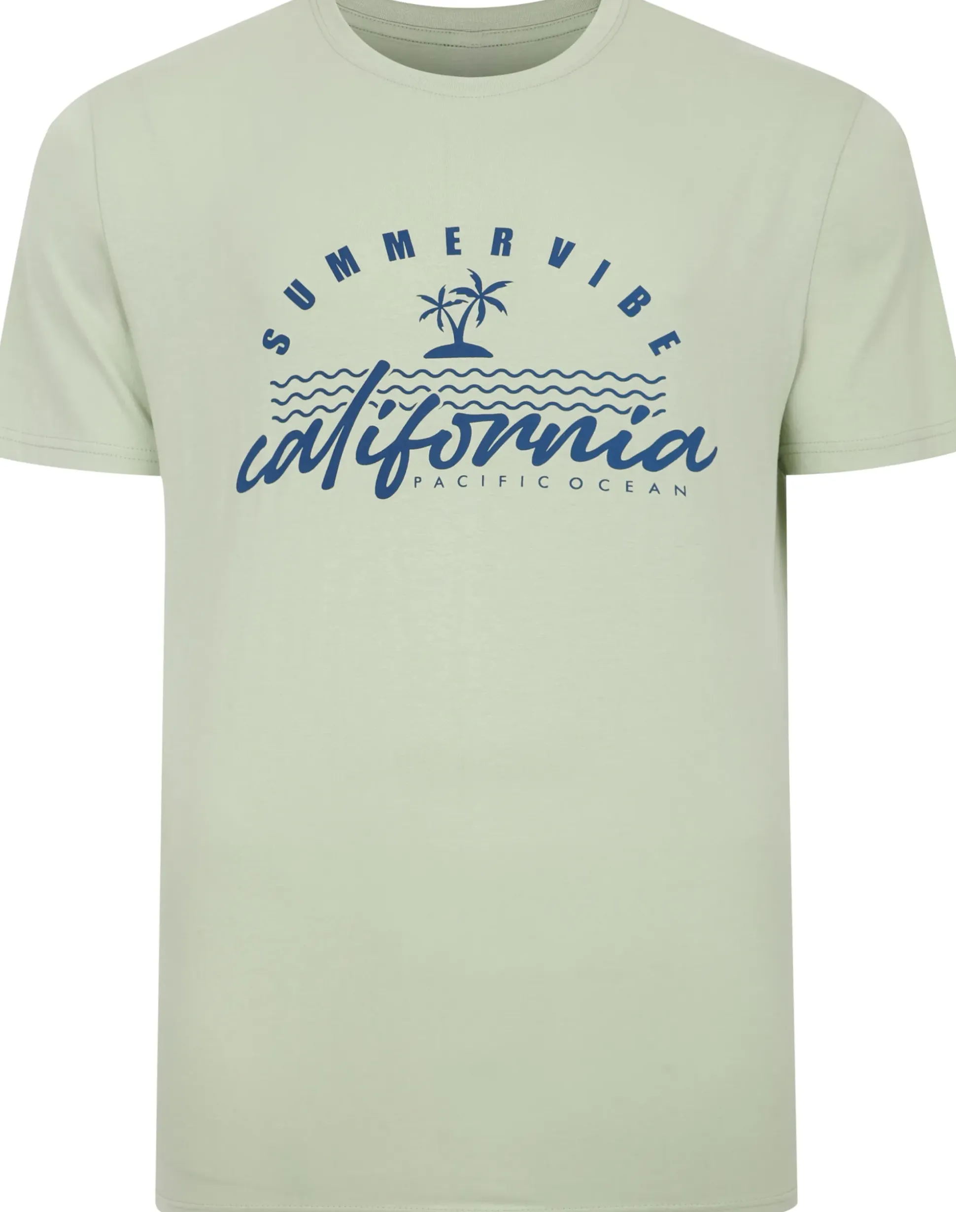 Bigdude California Print T-Shirt Light Green