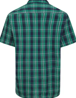 Bigdude Checked Poplin Short Sleeve Shirt Green/Navy Tall