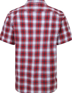 Bigdude Cutaway Collar Checked Shirt Red/Royal Blue