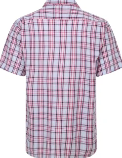 Bigdude Cutaway Collar Checked Shirt Pink/White