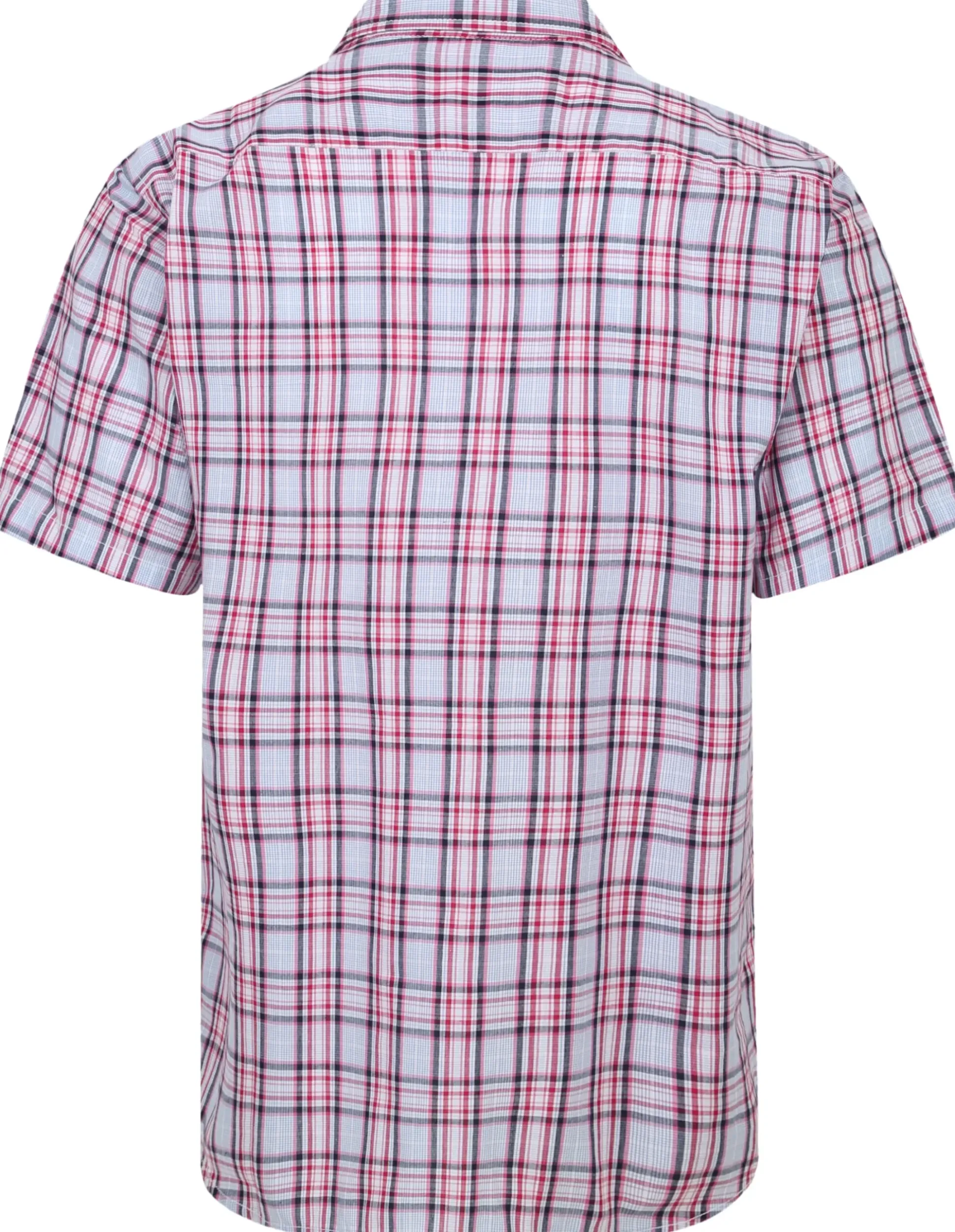 Bigdude Cutaway Collar Checked Shirt Pink/White