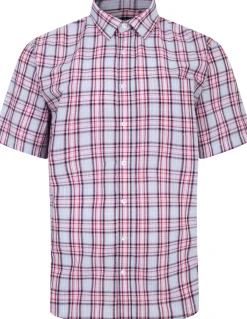 Bigdude Cutaway Collar Checked Shirt Pink/White Tall