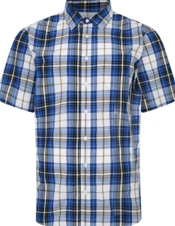 Bigdude Cutaway Collar Checked Shirt Light Blue/White Tall