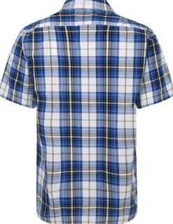 Bigdude Cutaway Collar Checked Shirt Light Blue/White Tall