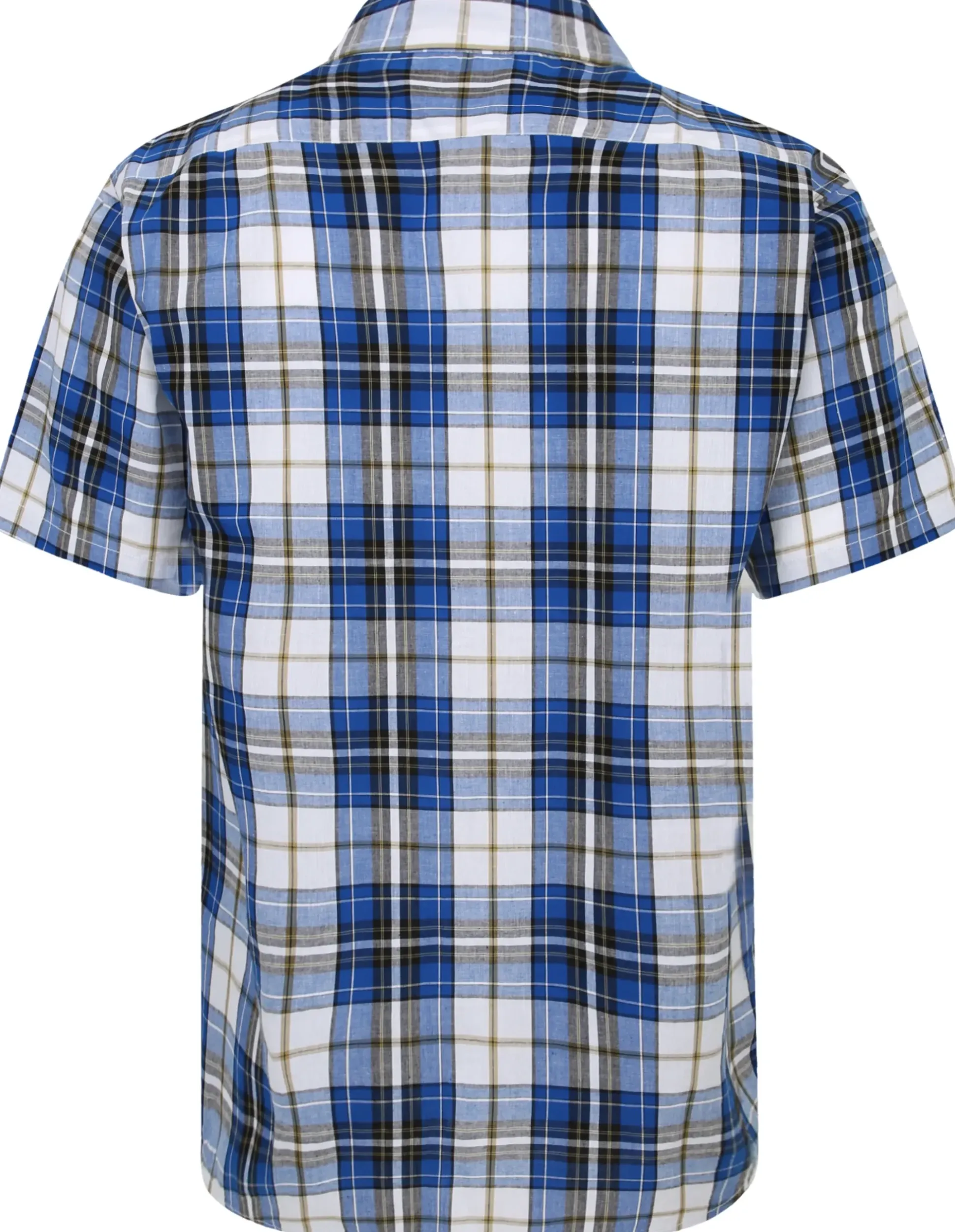 Bigdude Cutaway Collar Checked Shirt Light Blue/White Tall