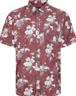 Bigdude Floral Allover Printed Short Sleeve Shirt Burgundy Tall
