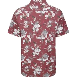 Bigdude Floral Allover Printed Short Sleeve Shirt Burgundy Tall