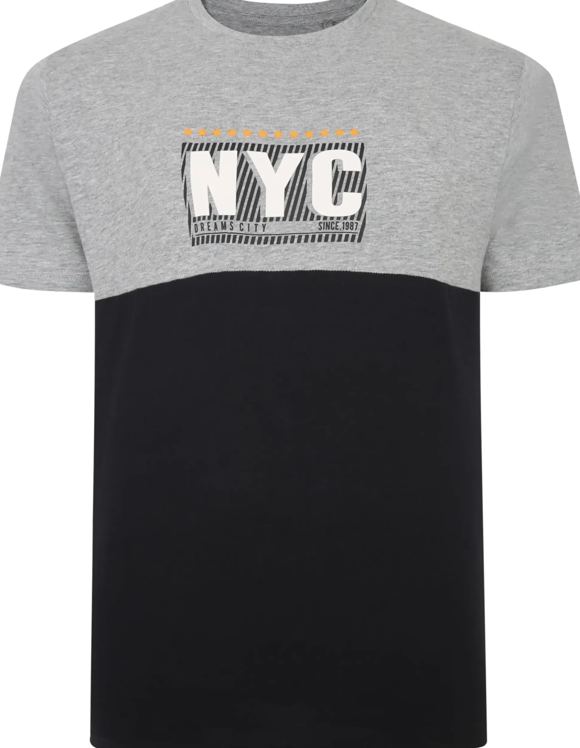 Bigdude NYC Print Cut & Sew T-Shirt Grey