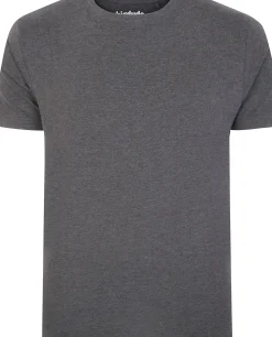 Bigdude 5 Pack Plain T-Shirts