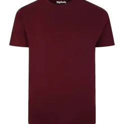 Bigdude 5 Pack Plain T-Shirts Multi Tall
