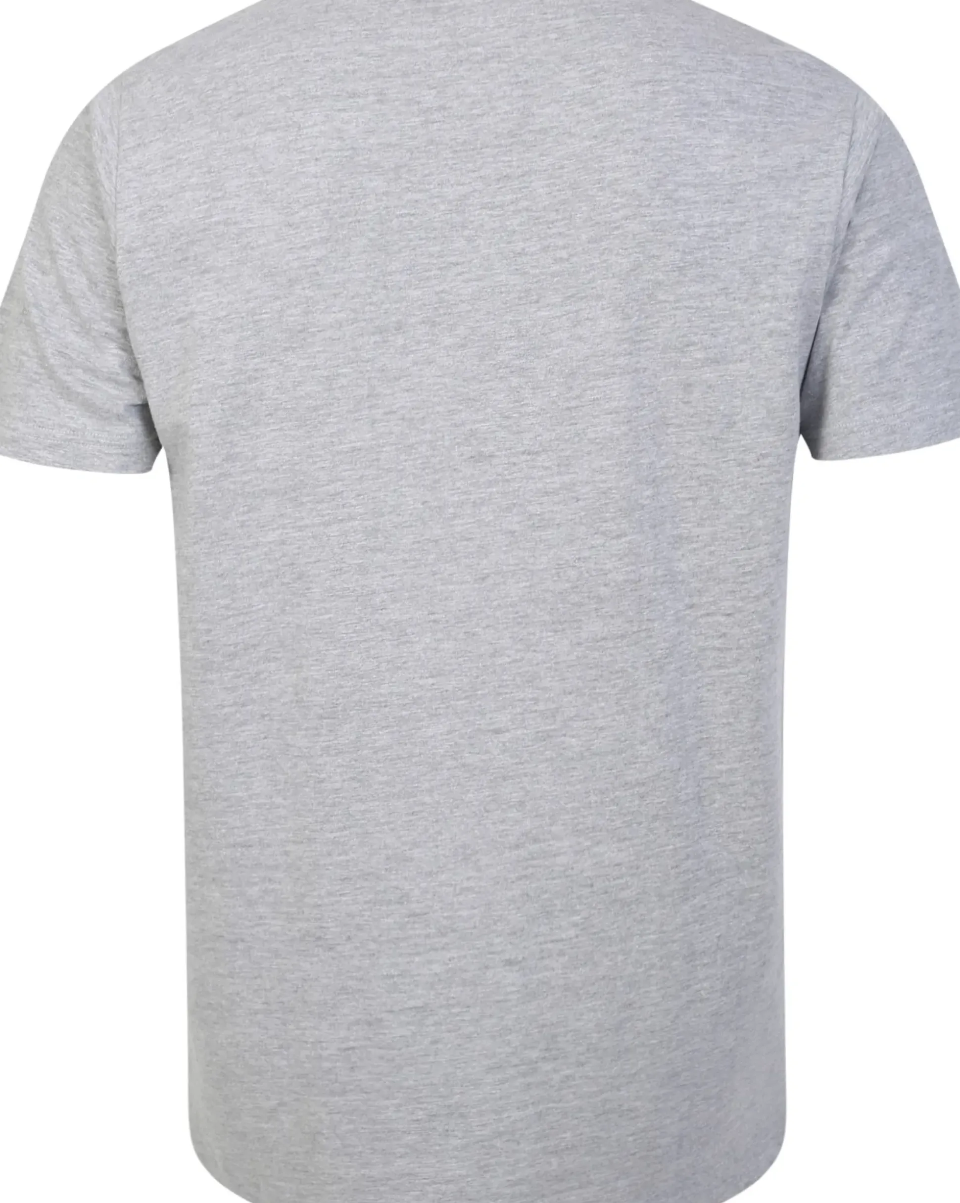 Bigdude Plain Crew Neck T-Shirt Grey