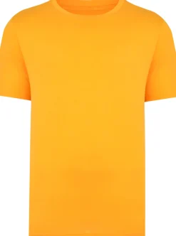 Bigdude Plain Crew Neck T-Shirt Orange