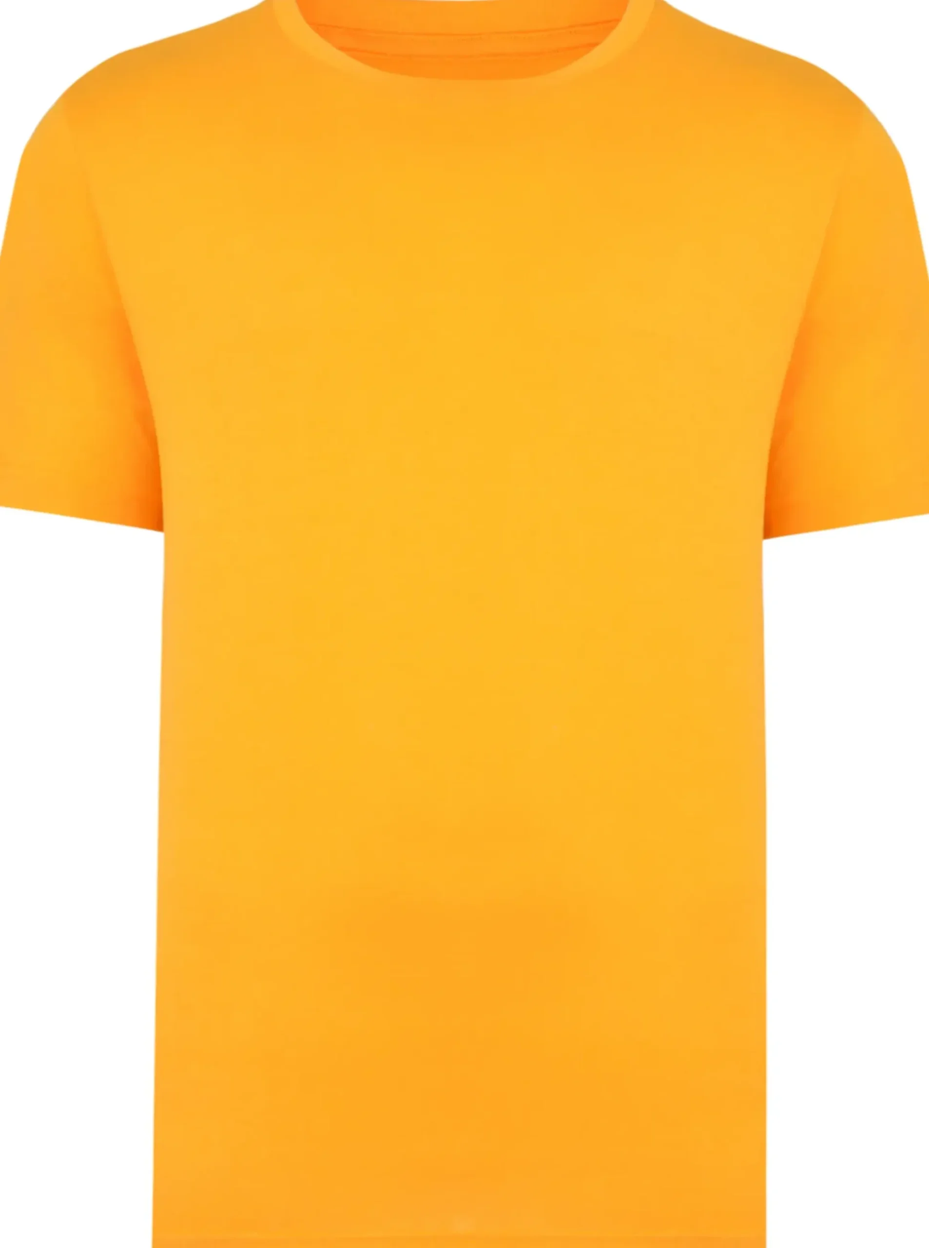 Bigdude Plain Crew Neck T-Shirt Orange