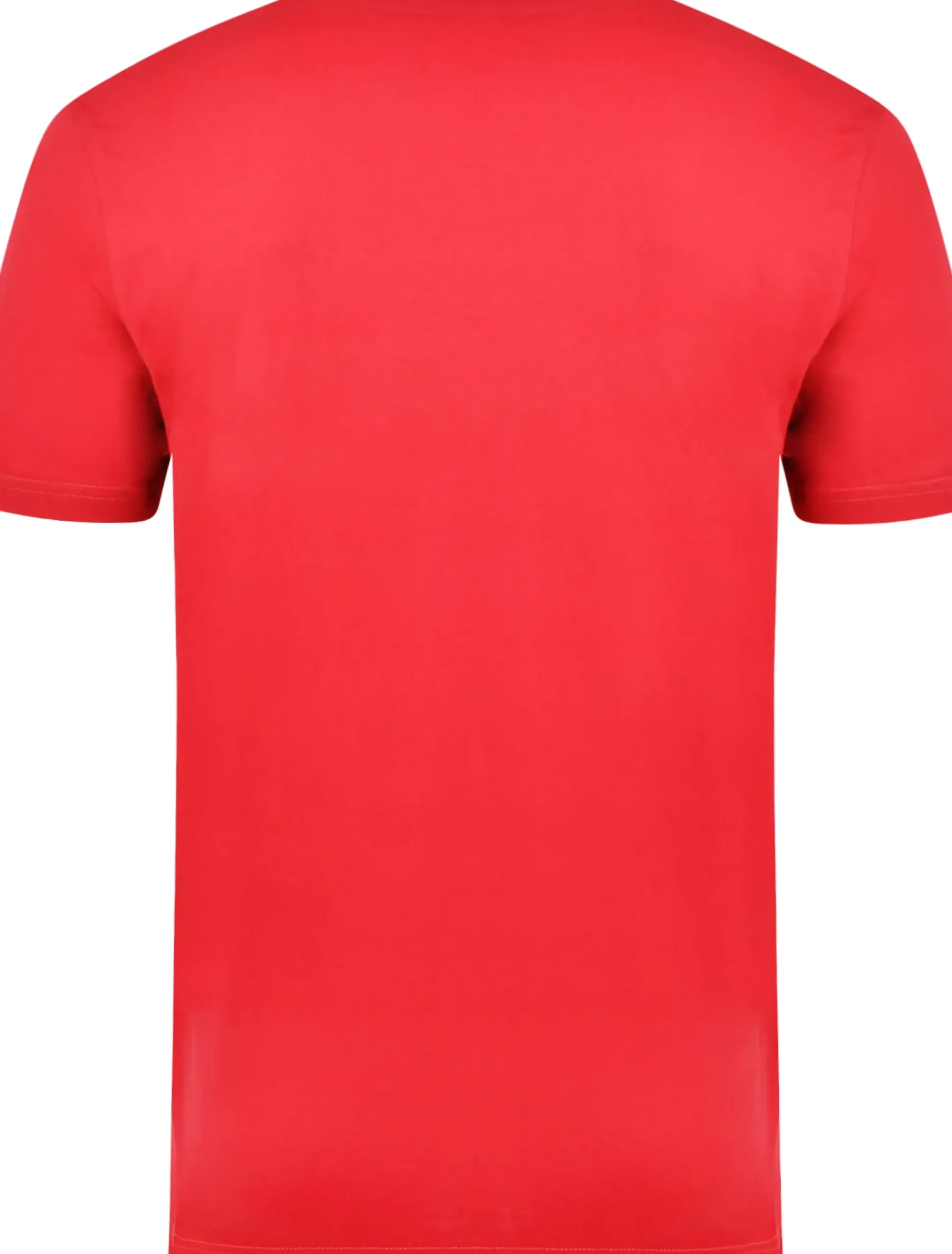 Bigdude Plain Crew Neck T-Shirt Red Space Cherry Tall