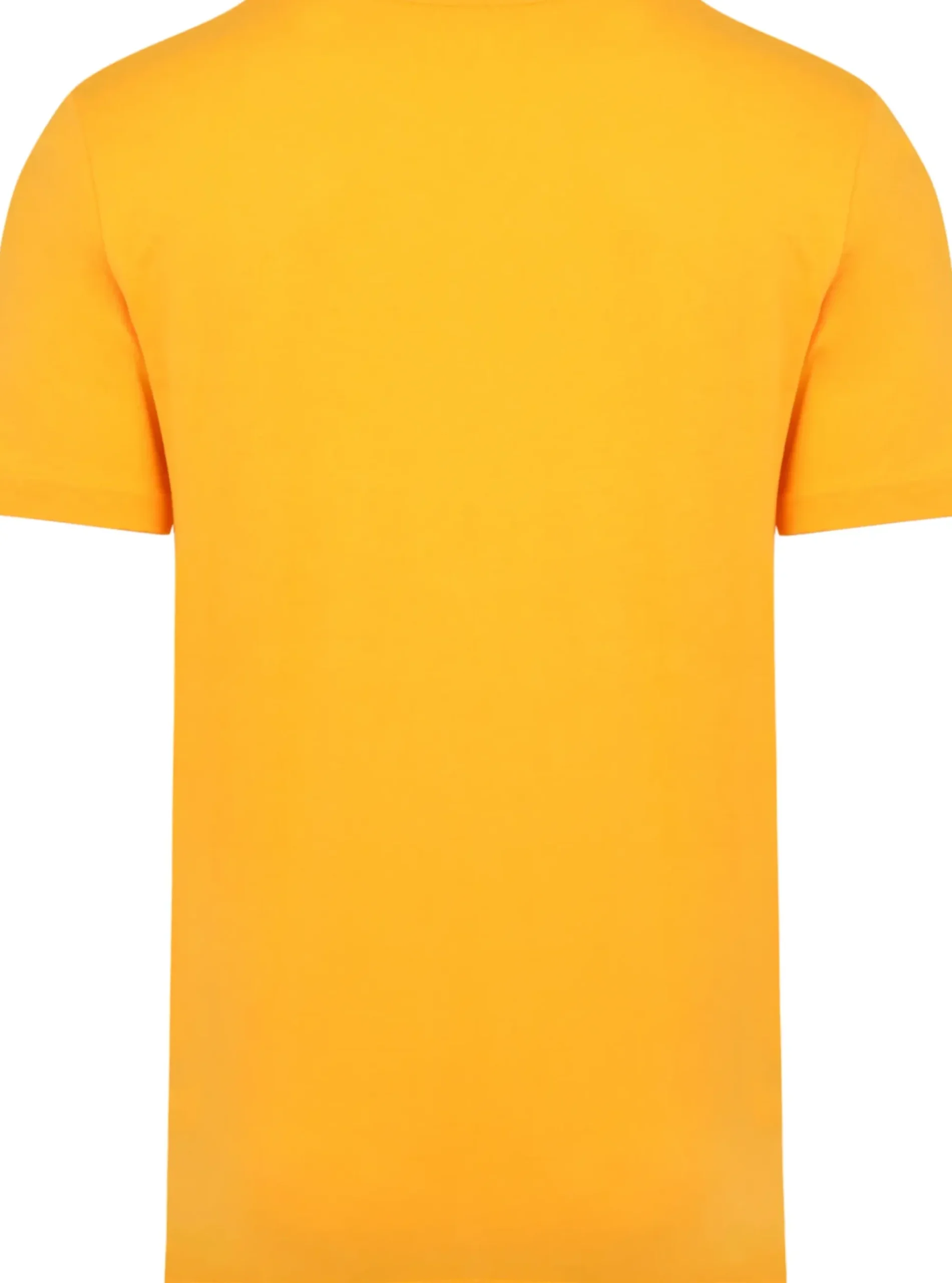 Bigdude Plain Crew Neck T-Shirt Orange Tall