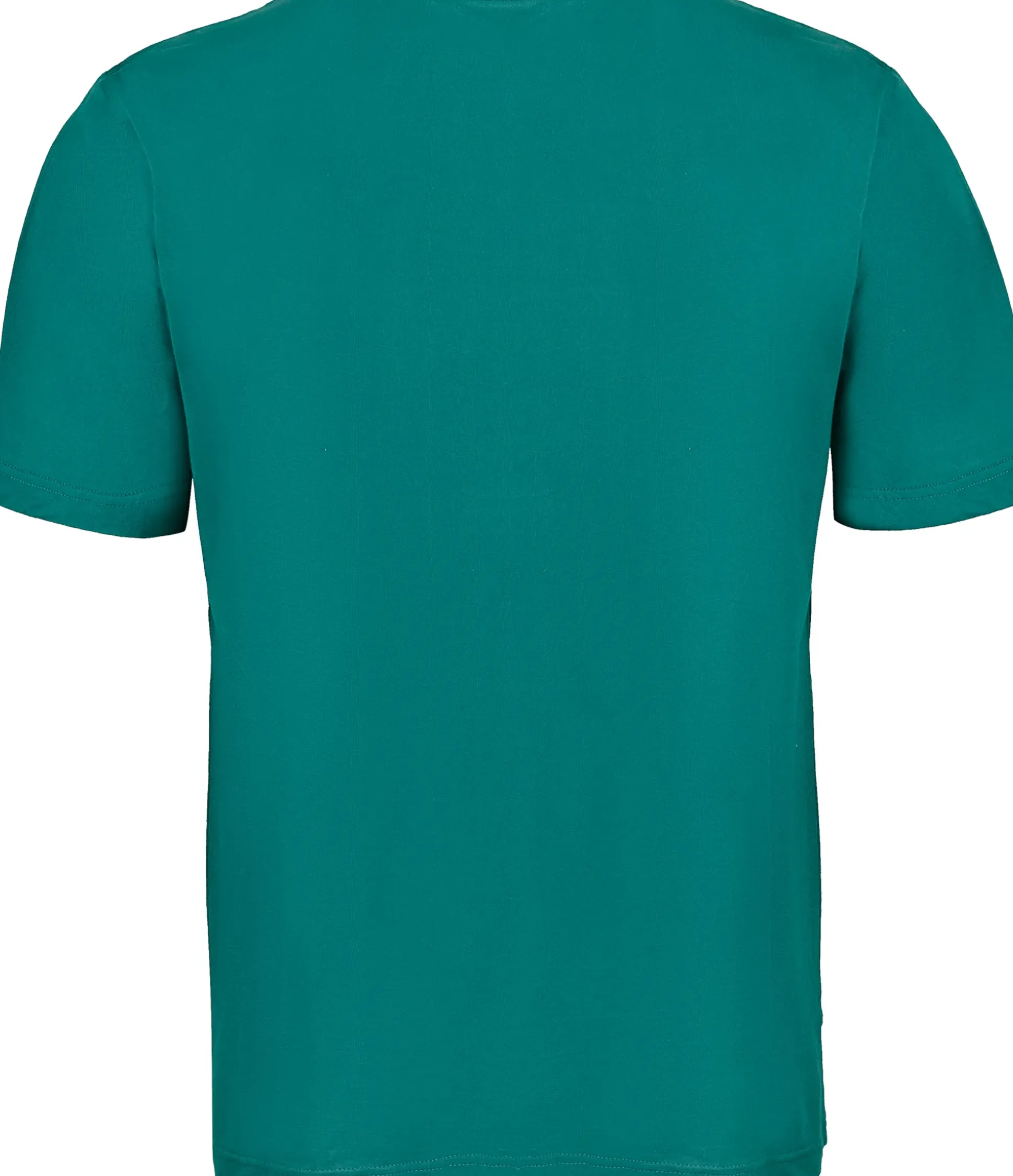 Bigdude Plain Crew Neck T-Shirt Green