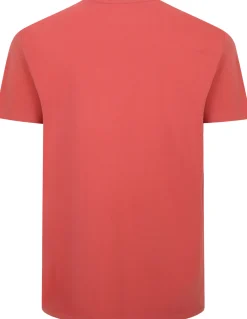 Bigdude Slogan Embroidered T-Shirt Washed Red
