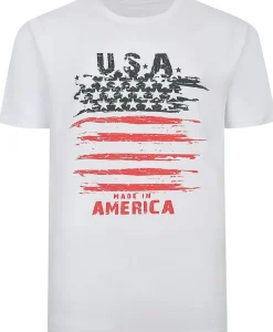 Bigdude USA Print T-Shirt White Tall