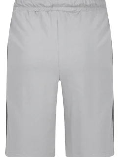 Bigdude 65 Varsity Shorts Grey/Charcoal